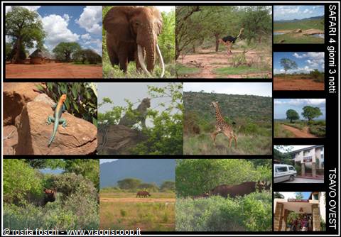 TSAVO WEST with THOMAS MBOYA and AGENCY RAFIKI SAFARIS UK in WATAMU