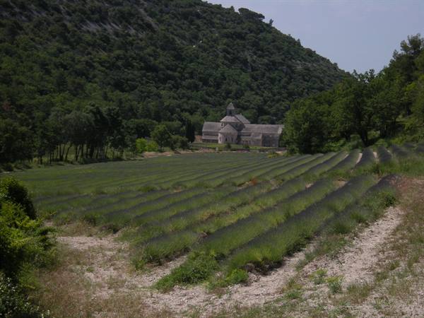 Senanque