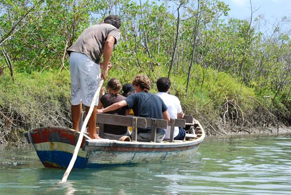 Boatman with wooden pole steers tourists through channel lined with mangroves