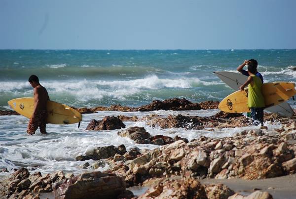 Surfers carrying yellow boards across rocky shoreline waves