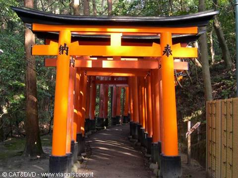 Rows of orange torii gates at Fushimi Inari shrine among green trees