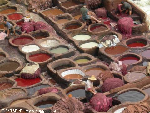 Fez - tanneries