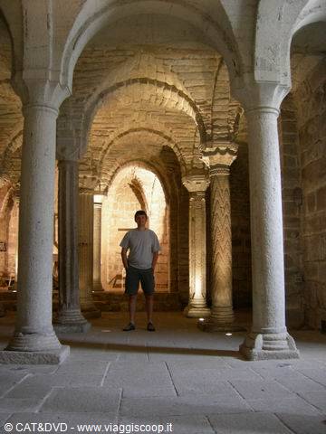 Man standing in a Romanesque crypt among stone columns and illuminated vaults