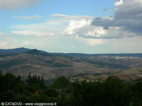 Plowed hills under white clouds and blue sky, trees in the foreground