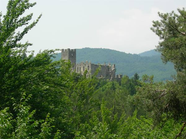 Stone castle ruins framed by green trees and wooded hills