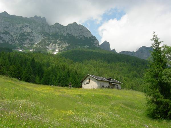 Stone mountain hut on flowery meadow, firs and dolomite peaks under clouds