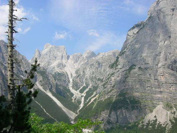 Rocky Dolomite cliffs tower over a green col with scree and a bare pine
