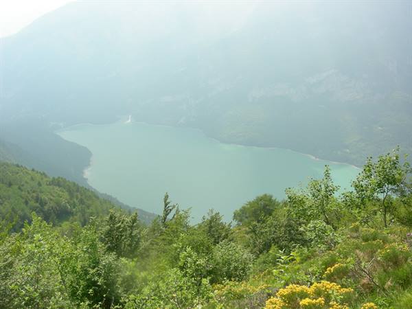Lake Molveno surrounded by mountains among green bushes and yellow flowers