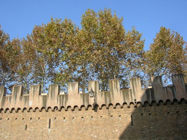 Stone medieval wall with battlements, autumn trees behind, blue sky, Pisa