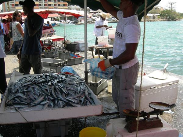 the fish market