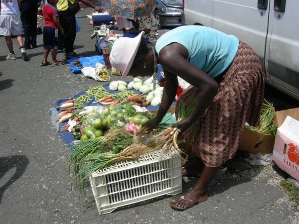 Woman in white hat arranges green onions in plastic crate at outdoor market