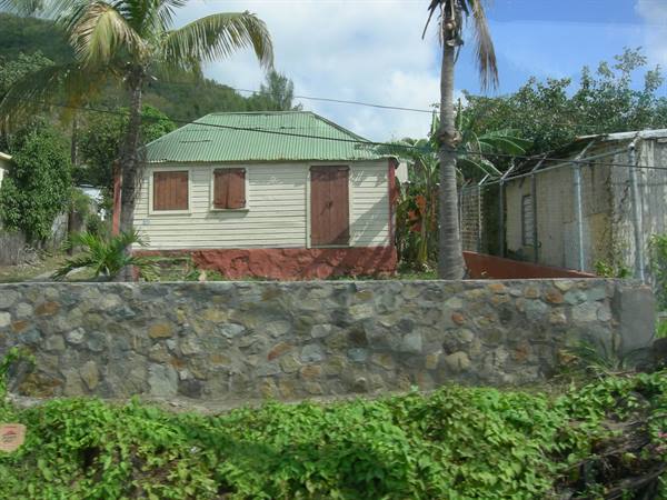 Small wooden house with green tin roof among palm trees and stone wall