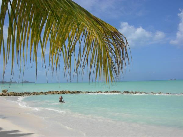 Palm frond over white sand beach, man wading in turquoise water by rocks