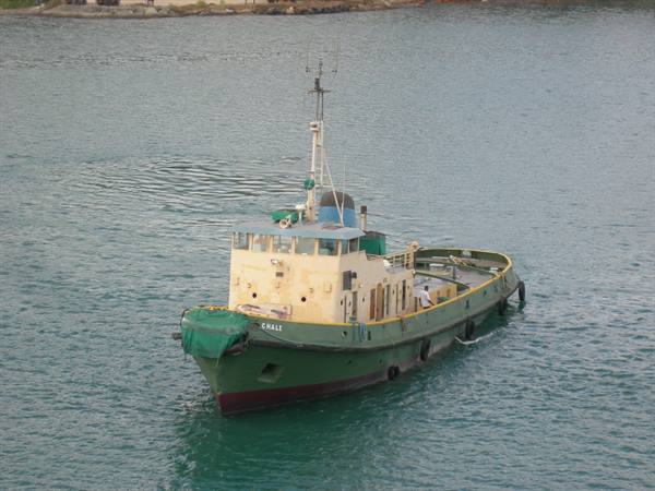 Green tugboat with white cabin moored in harbor near the shore