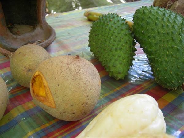 Exotic fruits on a table: spiky soursops, opened mamey and chayote