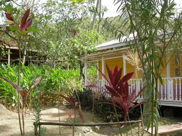 Yellow wooden house with white porch surrounded by red tropical plants