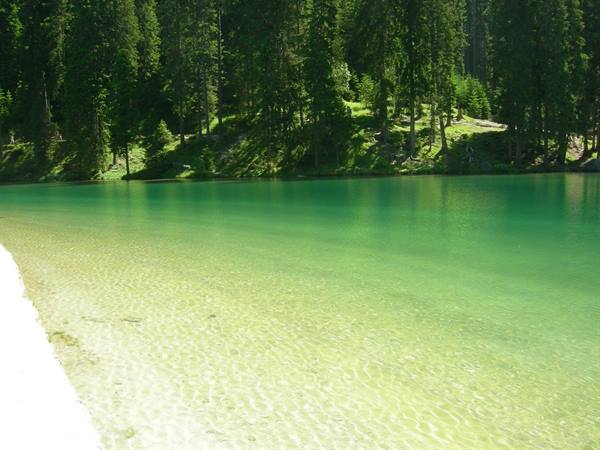 shades (braies)