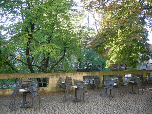 Empty metal chairs on cobblestone floor beneath green trees