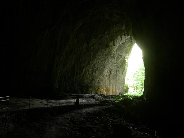 Inside a vast dark cave, green light pours through the rocky opening
