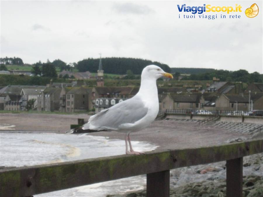 stonehaven