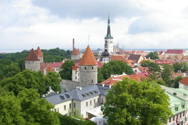 Medieval stone towers with red roofs among green trees, Tallinn