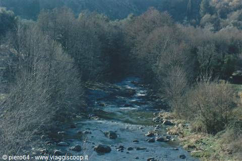 Rocky river flowing through bare trees and dark woods