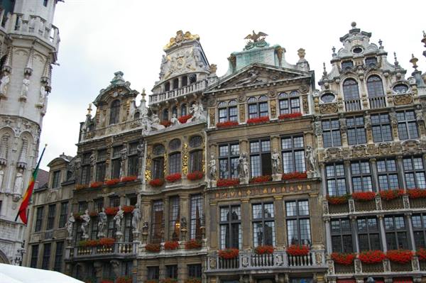 Ornate baroque guildhalls with red flowers on Brussels Grand-Place