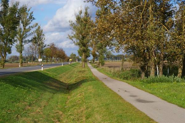 Paved bike path beside the road, autumn trees and grassy ditch