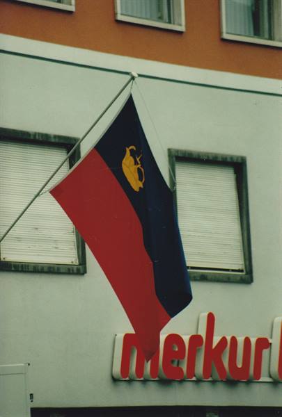 The flag