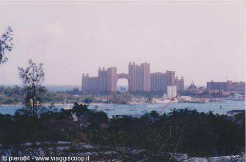 Atlantis Paradise Island rises across the bay, framed by trees and boats