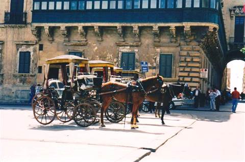 Horses with vintage carriages on a square in Valletta, Malta