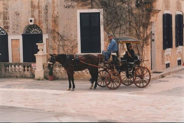 Horse-drawn carriage in front of an old stone house, Mdina