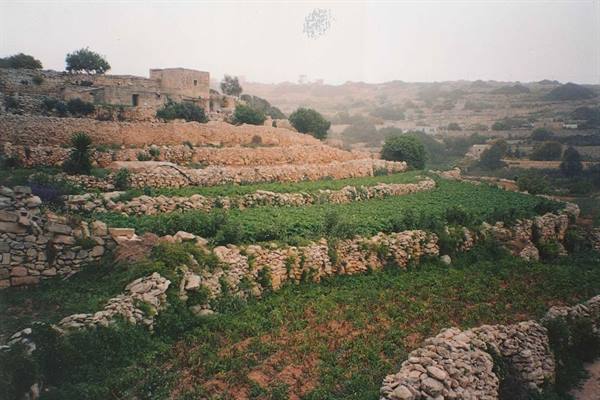 Terraced fields with limestone walls beneath an old rural building