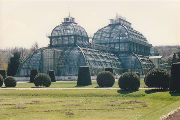 The Palmenhaus glass greenhouse at Schönbrunn, Vienna, among trimmed shrubs