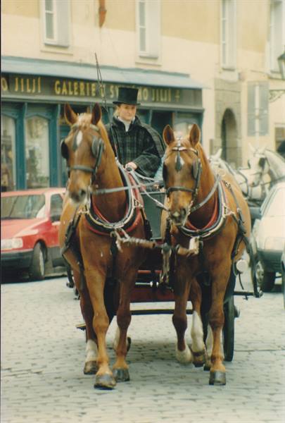 Two harnessed horses with top-hatted driver on cobblestones