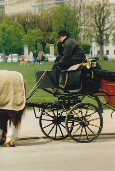 Carriage driver in black hat waits on a horse-drawn carriage in the park
