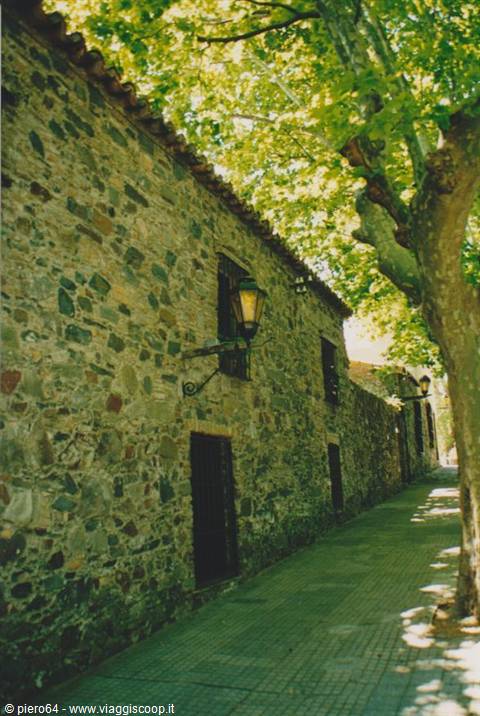Stone wall with lit lantern beside tree-shaded sidewalk