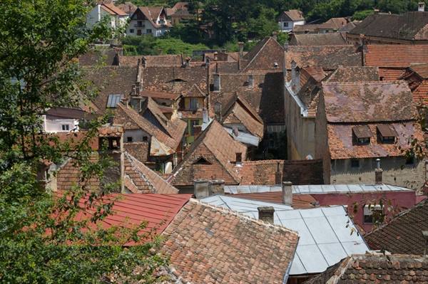Red and grey tiled rooftops among trees, old houses in the historic town
