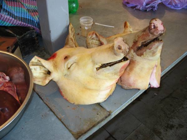 Two fresh pig heads on a metal counter at the market