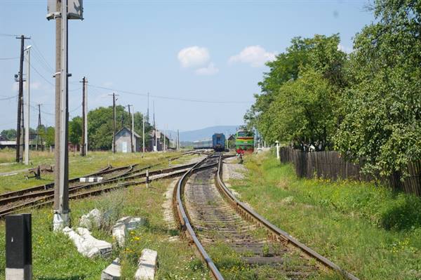 Grassy railway tracks with two locomotives in the distance, wooden fence and trees