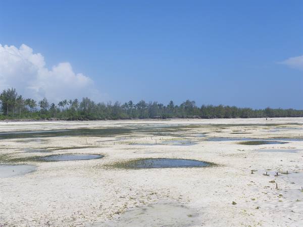 Lagoon