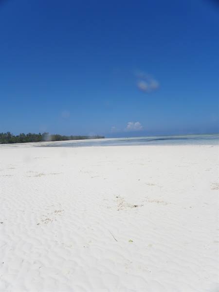 Sand of dreams