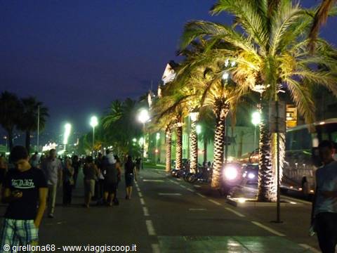 Illuminated palm trees at night along a busy seaside promenade