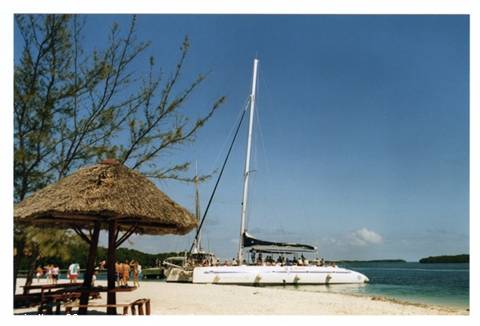 White catamaran beached on the sand beside a thatched parasol