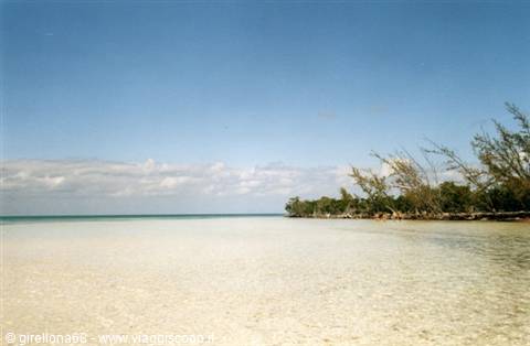 Clear shallow water over light sand, trees along the right shore