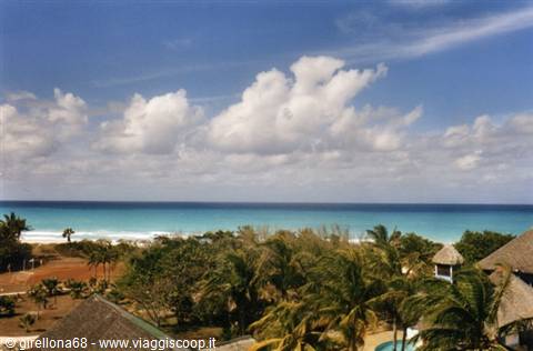 Tropical beach with palms and thatched roofs facing turquoise sea, Varadero