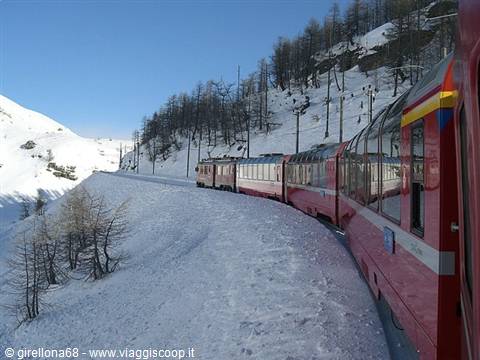 Red Bernina Express train curving through deep snow