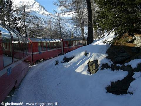 Red Bernina Express train winding through snow, fir trees and snowy peaks