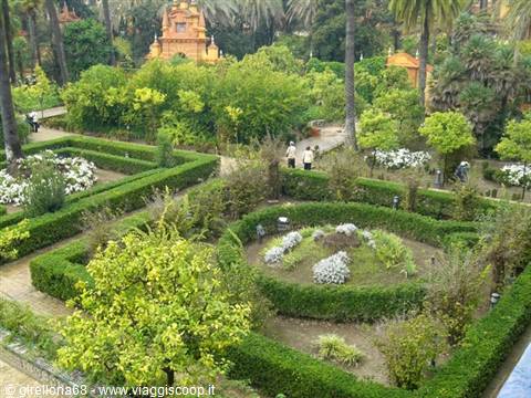 Alcázar gardens in Seville: geometric hedges, palm trees and orange pavilion