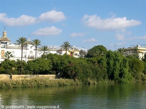 Palm trees and white pavilions along the Guadalquivir river, Seville